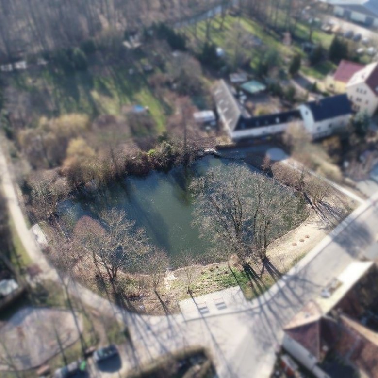 Seegeritzer Dorfteich nach erfolgter Maßnahmenumsetzung