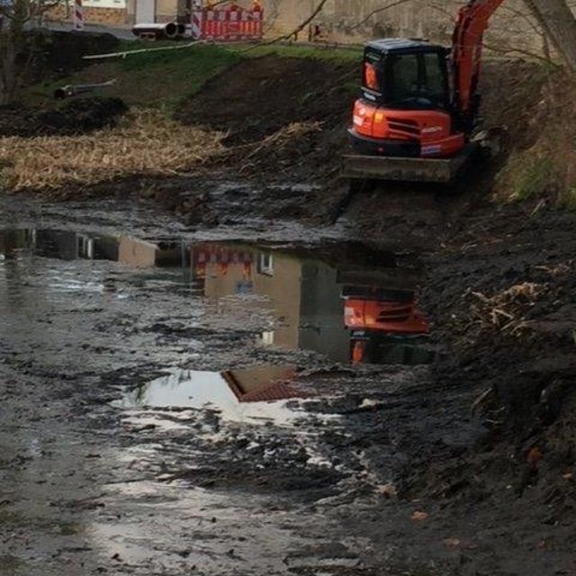 Renaturierungsmaßnahmen im abgepumpten Dorfteich